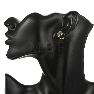 3 Pairs Flat Round Natural Paua Shell Stud Earrings for Women EJEW-JE07126-1