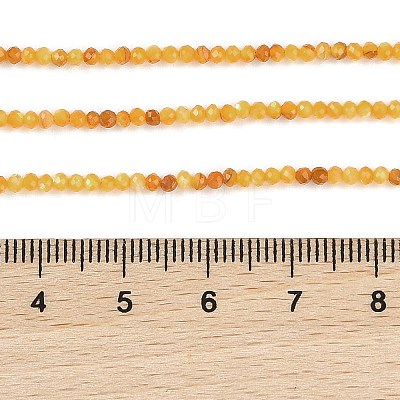 Natural Yellow Shell Beads Strands BSHE-G036-09A-1