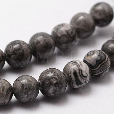 Natural Map Stone/Picasso Stone/Picasso Jasper Bead Strands G-D840-60-8mm-1