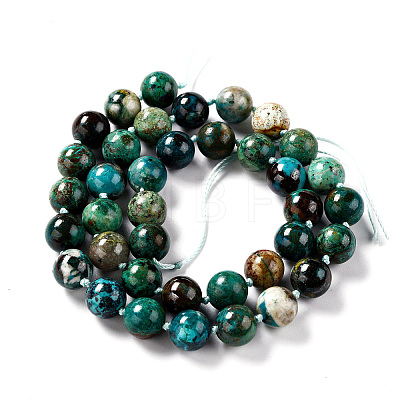 Natural Chrysocolla Beads Strands G-G010-16-1