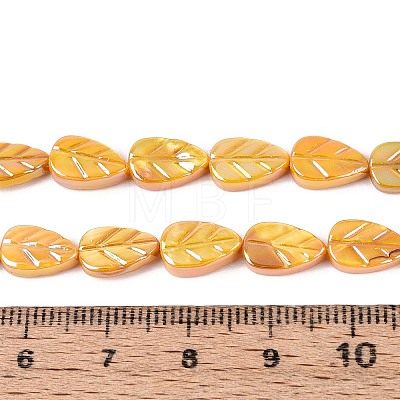 Natural Freshwater Shell Carved Beads Strands SHEL-N038-25F-1