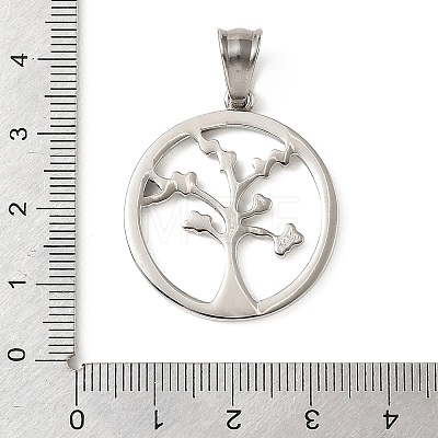 304 Stainless Steel Pendants STAS-F363-08B-P-1