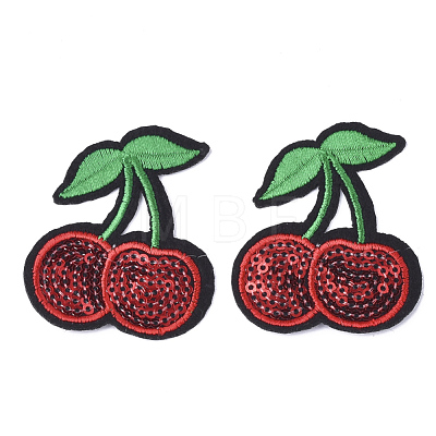 Computerized Embroidery Cloth Iron On Patches FIND-T030-116-1
