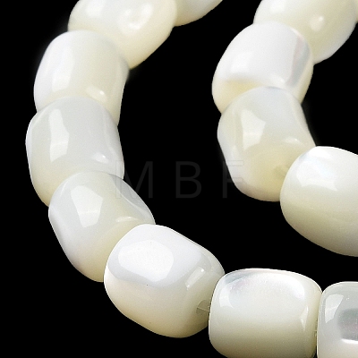 Natural Trochus Shell Beads Strands BSHE-E030-05A-1