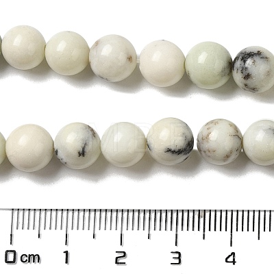 Natural Dendritic Jasper Beads Strands G-H298-A15-03-1