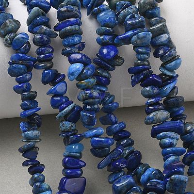 Natural Lapis Lazuli Chip Beads Strands G-E271-121-1
