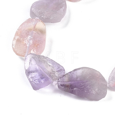 Natural Ametrine Beads Strands G-Q164-E02-01-1