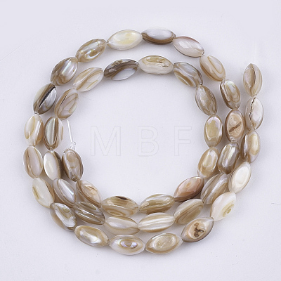 Freshwater Shell Beads Strands X-SHEL-S276-34B-1