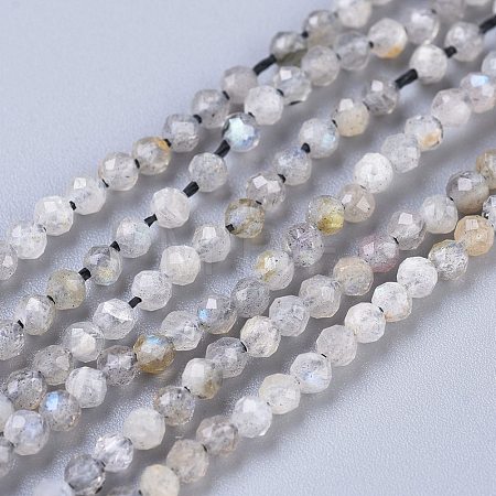 Natural Labradorite Beads Strands G-R475-025A-1