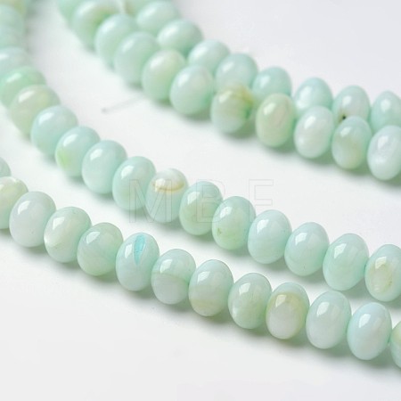 Dyed Natural Freshwater Shell Rondelle Bead Strands X-BSHE-O016-19B-1