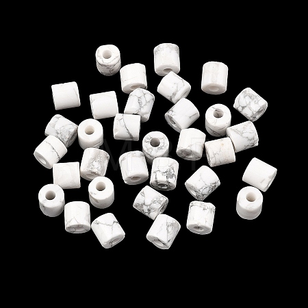 Natural Howlite Beads G-I395-B04-1