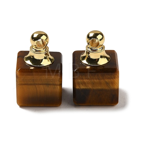 Natural Tiger Eye Perfume Bottle Pendants G-Z039-04G-02-1