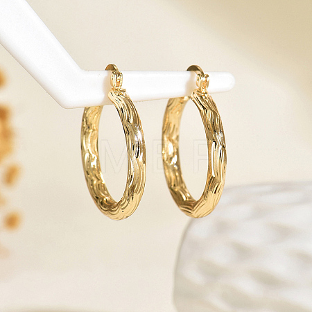 Brass Textured Rectangle Hoop Earrings TU9536-1-1