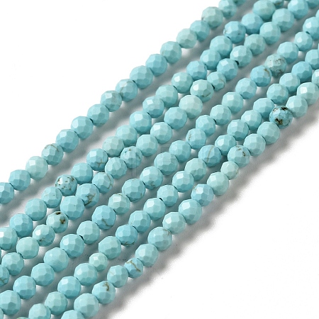 Natural Howlite Beads Strands G-C025-03B-01-1