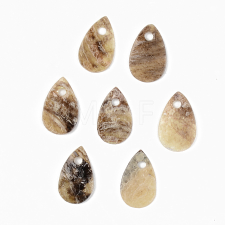 Natural Akoya Shell Charms SHEL-R048-025-1