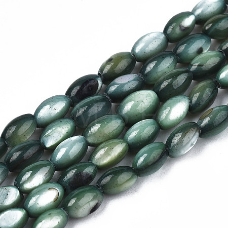 Natural Freshwater Shell Beads Strands SHEL-N003-25-B01-1