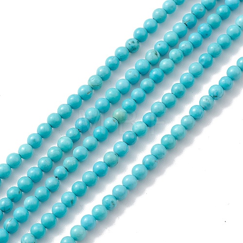 Natural Howlite Beads Strands TURQ-K005-01B-1