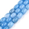 Barrel Shaped Dyed Natural Aquamarine Beads Strands G-S114-25-01-1