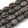Natural Fluorescent Syenite Rock(Glow under UV Light)  Beads Strands G-K362-D02-03-2