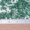 MIYUKI Delica Beads SEED-X0054-DB0175-4