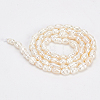  1 Strand Grade A Natural Cultured Freshwater Pearl Beads Strands PEAR-NB0001-33-4