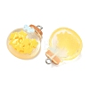 Transparent Resin Pendants LS-RESI-K203-19-3