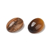 Natural & Synthetic Mixed Gemstone Cabochons G-M396-04-1-3