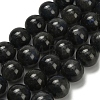 Natural Black Labradorite Beads Strands G-L642-B15-14mm-2