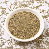 MIYUKI Delica Beads SEED-JP0008-DB1153-2