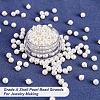 HOBBIESAY 2 Strands Shell Pearl Bead Strands BSHE-HY0001-02-4