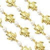 1M Handmade 304 Stainless Steel Turtle Link Chains AJEW-JB01615-02-1