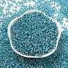 Glass Seed Beads X1-SEED-S042-04A-13-2