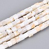 Natural Freshwater Shell Beads Strands SHEL-N027-09A-1