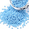 11/0 Czech Opaque Glass Seed Beads SEED-N004-003B-20-1