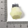 Flocking Opaque Resin Pendants RESI-G123-01K-3