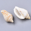 Natural Spiral Shell Pendants SSHEL-N035-02-4