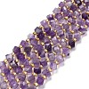 Natural Chevron Amethyst Beads Strands G-P463-13-1