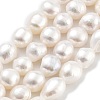 Natural Cultured Freshwater Pearl Beads Strands PEAR-P062-31B-2