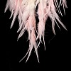 Iron Woven Web/Net with Feather Pendant Decorations LS-AJEW-B017-24-5