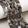 Natural Moonstone Beads Strands G-A284-A01-01-1
