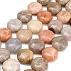 Natural Fossil Coral Beads Strands GG-CBA362F-01-2