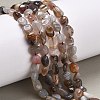 Natural Botswana Agate Beads Strands G-P433-20A-2