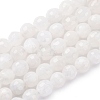 Natural Rainbow Moonstone Beads Strands X-G-J403-04B-6mm-1