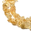 Gemstone Beads Strands X-F044-3