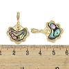 Natural Paua Shell Pendants KK-S386-17G-03-3