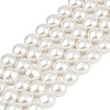 Electroplated Shell Pearl Beads Strands BSHE-G027-13C-2