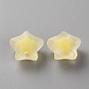 Transparent Acrylic Beads TACR-S152-02C-SS2105-2