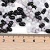 Glass Seed Beads SEED-K010-03J-4