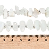 Natural Green Opal Beads Strands G-L657-E03-01-5