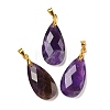 Natural Amethyst Pendants G-L614-D03-G03-1